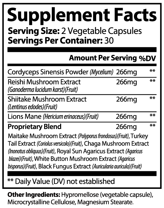 Adaptogen 10 I Premium 10 Mushroom Superfood Blend for Immunity, Energy & Cognitive Support