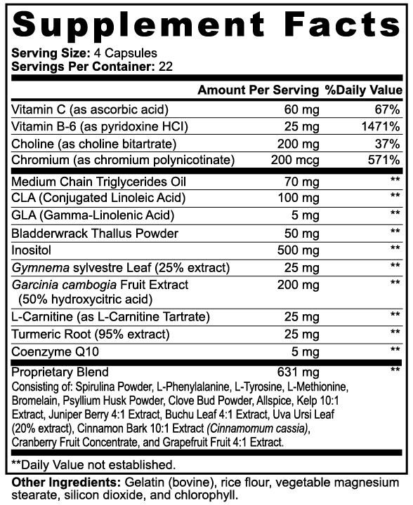 Ignite Burn – fat burner with MCT and L-Carnitine – energy and metabolism support – Warden Armor Nutrition Core
