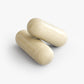 Digestive Balance – Probiotic + Enzyme Complex for Gut Health – Warden Armor Nutrition Core