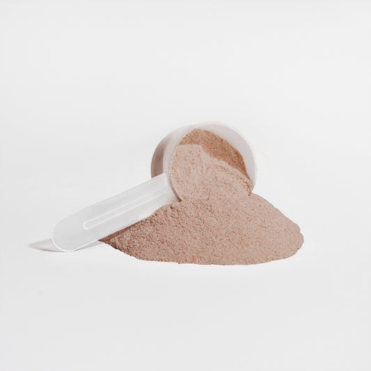 VitaLean Plant Protein – Chocolate Flavor – Vegan Lean Recovery Shake – Warden Armor Nutrition Core